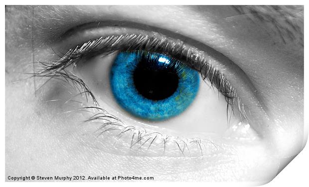 Eye Spy Print by Steven Murphy