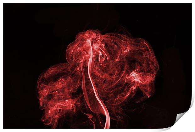 Explosive Red Print by Steve Purnell