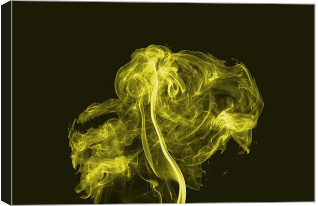 Explosive Yellow Canvas Print by Steve Purnell
