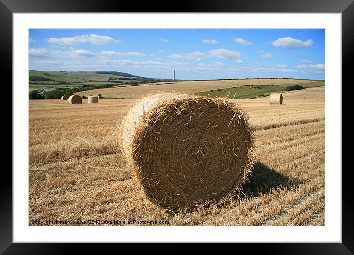 The Hay bale Framed Mounted Print by mark blower