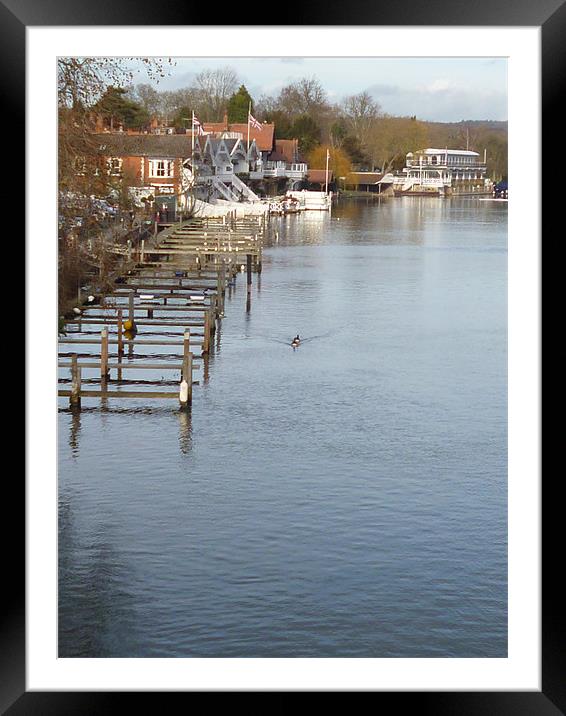 The Thames Framed Mounted Print by Millie Duckett