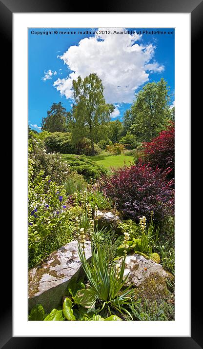 the country garden Framed Mounted Print by meirion matthias