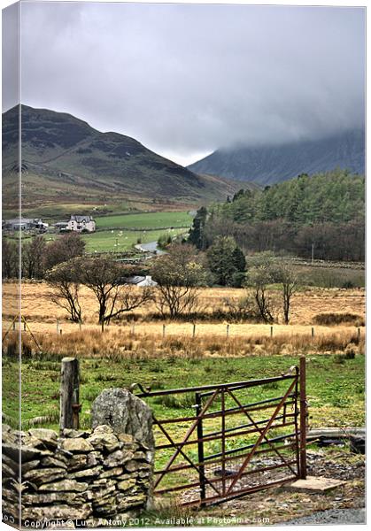Snowdonia National Park 2 Canvas Print by Lucy Antony