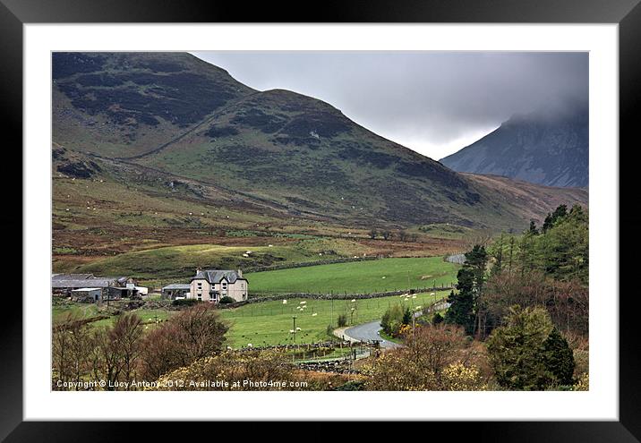 Snowdonia National Park 3 Framed Mounted Print by Lucy Antony