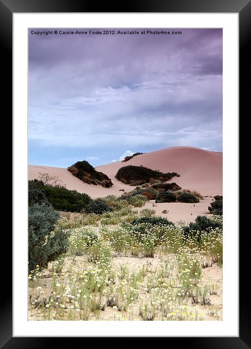 Dunes, Late Afternoon at Mungo Framed Mounted Print by Carole-Anne Fooks