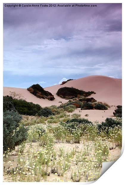 Dunes, Late Afternoon at Mungo Print by Carole-Anne Fooks
