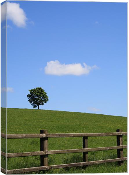 Lone tree at top of a small hill on a sunny day Canvas Print by Mick Flynn