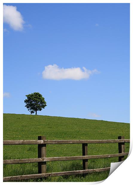 Lone tree at top of a small hill on a sunny day Print by Mick Flynn