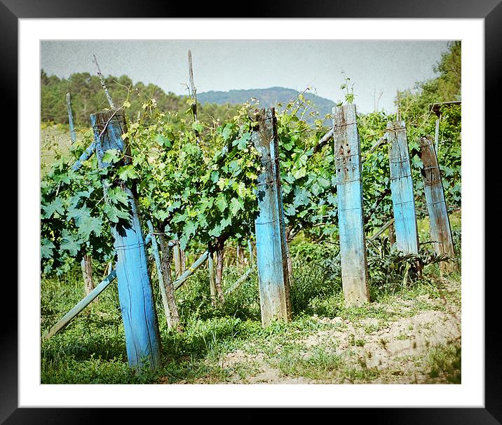 Vineyard in Umbria Framed Mounted Print by Gabriele Rossetti