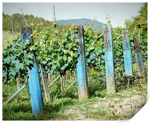 Vineyard in Umbria Print by Gabriele Rossetti