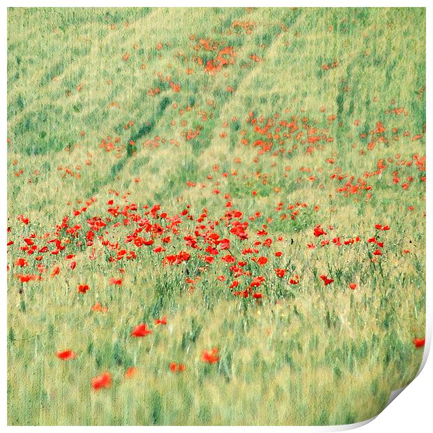 Red poppies field Print by Gabriele Rossetti