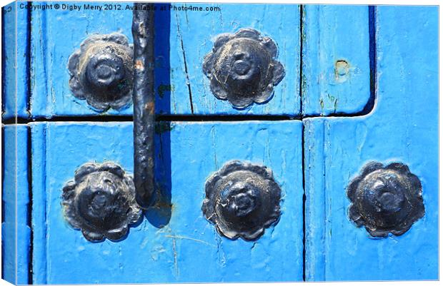 Blue door 2 Canvas Print by Digby Merry