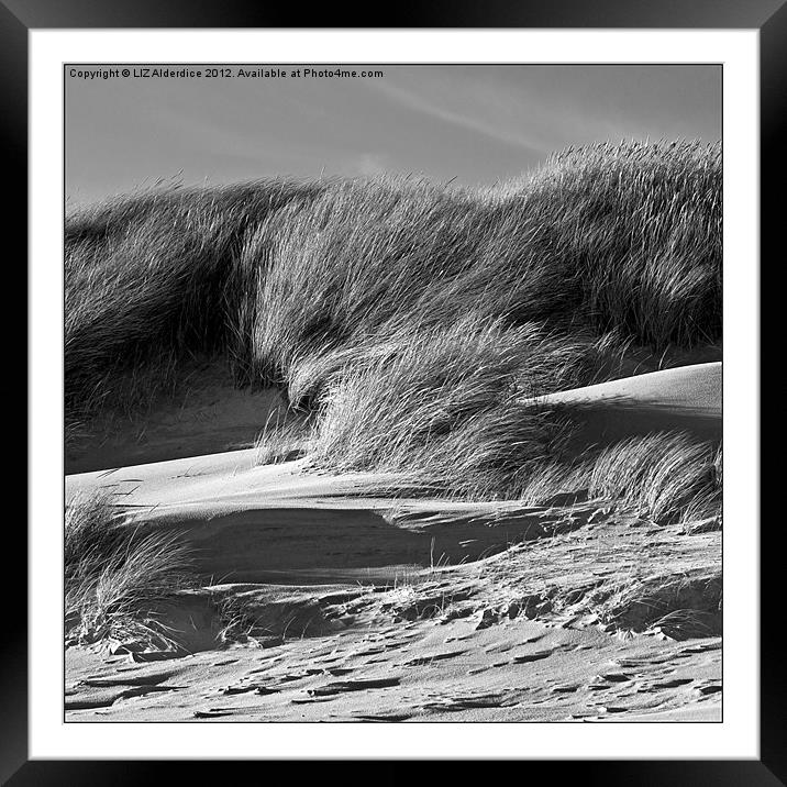 Sand Dunes Framed Mounted Print by LIZ Alderdice