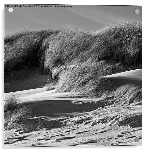 Sand Dunes Acrylic by LIZ Alderdice