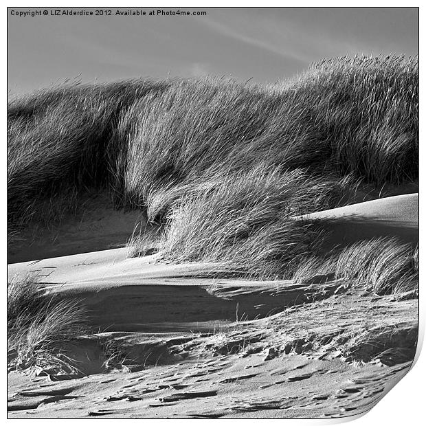 Sand Dunes Print by LIZ Alderdice