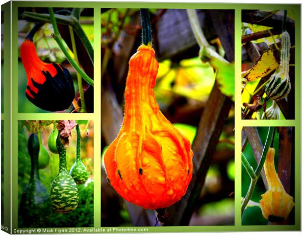 Collage of Gourds Canvas Print by Mick Flynn
