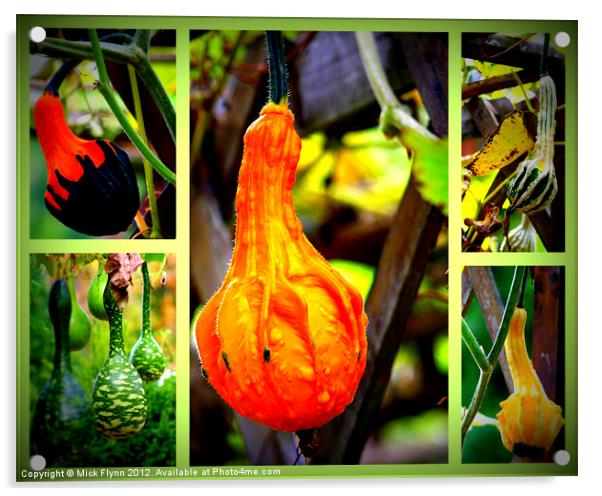 Collage of Gourds Acrylic by Mick Flynn