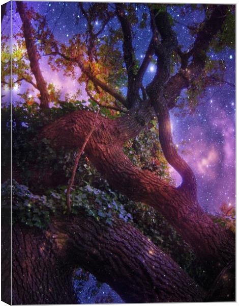 High in the Branches of the Old Oak. Canvas Print by Heather Goodwin
