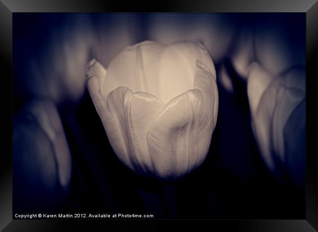 Tulip Blues Framed Print by Karen Martin