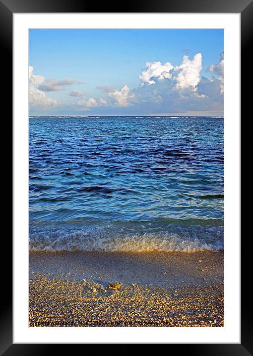 Sea shore Framed Mounted Print by Mandy Rice