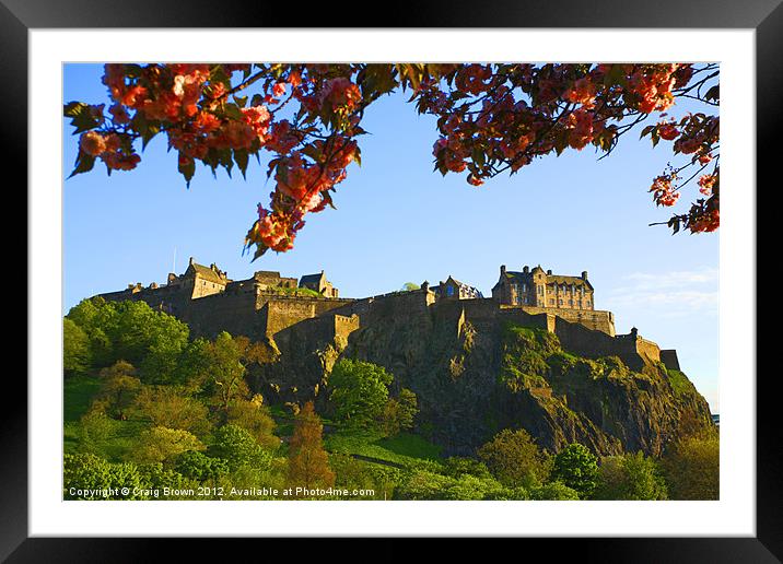 Edinburgh Castle Framed Mounted Print by Craig Brown