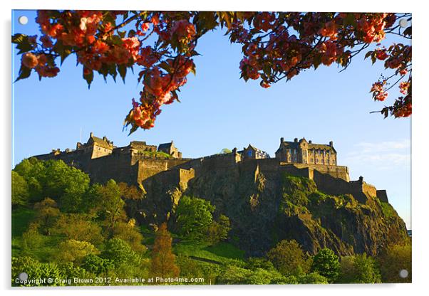 Edinburgh Castle Acrylic by Craig Brown