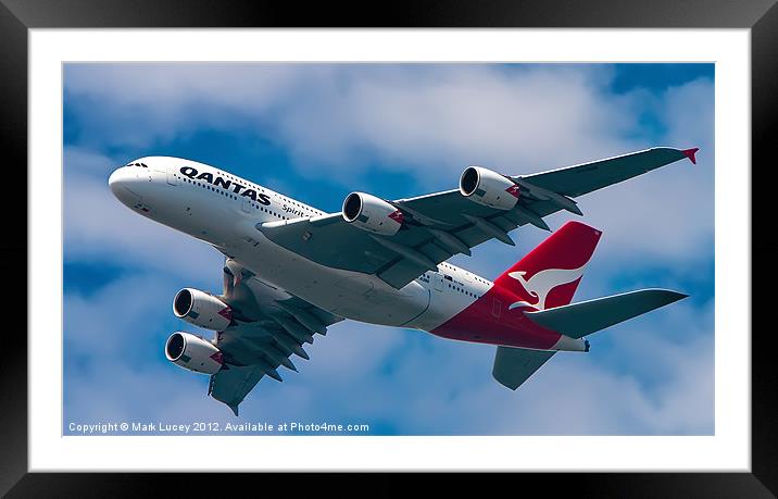 Qantas A380 Framed Mounted Print by Mark Lucey