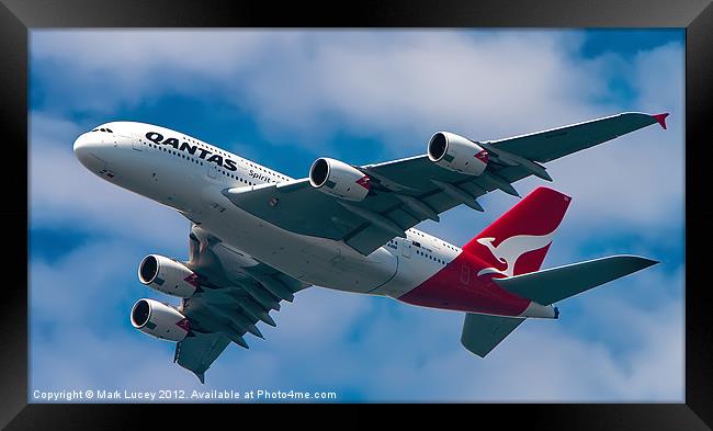 Qantas A380 Framed Print by Mark Lucey