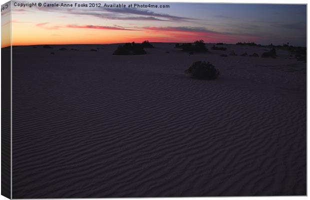 Before Sunrise at Mungo Canvas Print by Carole-Anne Fooks