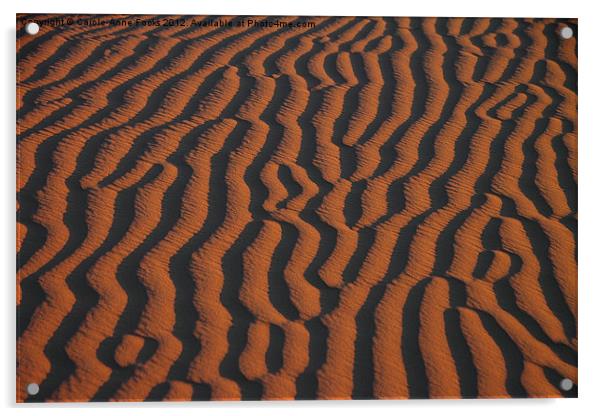 Dune Pattern Acrylic by Carole-Anne Fooks