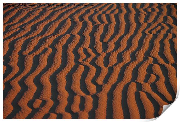 Dune Pattern Print by Carole-Anne Fooks