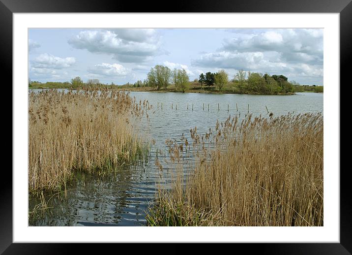 Willen Lake, North Framed Mounted Print by graham young