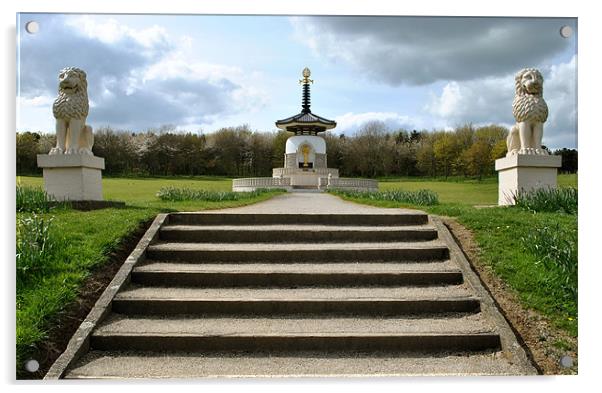 The Peace Pagoda Acrylic by graham young