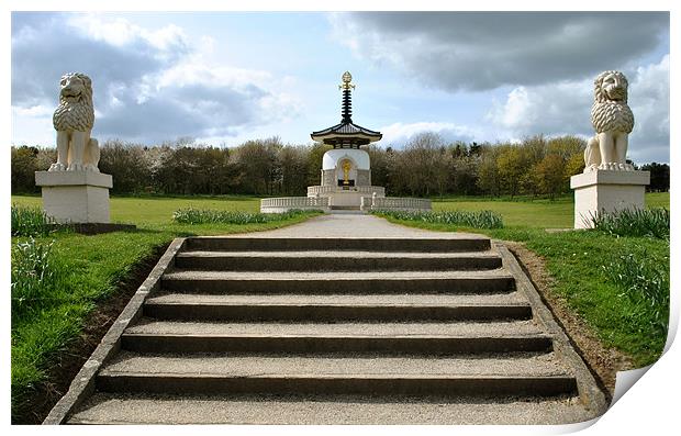 The Peace Pagoda Print by graham young