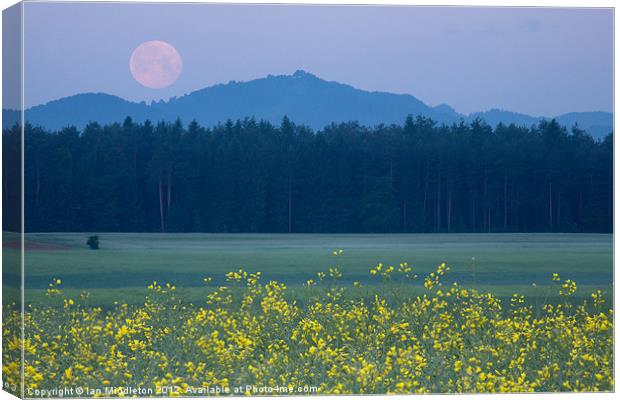 Full Moon setting over mountains and rapeseed Canvas Print by Ian Middleton