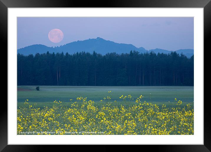 Full Moon setting over mountains and rapeseed Framed Mounted Print by Ian Middleton
