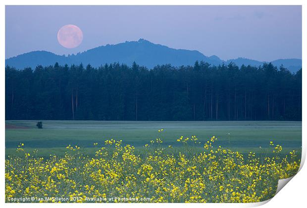 Full Moon setting over mountains and rapeseed Print by Ian Middleton