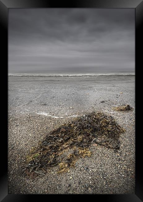 On The Beach Framed Print by Natures' Canvas: Wall Art  & Prints by Andy Astbury