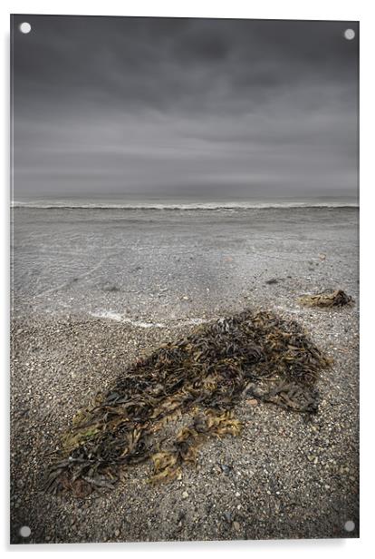 On The Beach Acrylic by Natures' Canvas: Wall Art  & Prints by Andy Astbury