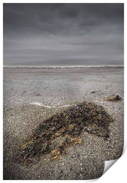 On The Beach Print by Natures' Canvas: Wall Art  & Prints by Andy Astbury