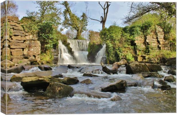 Penllegaer Waterfall. Canvas Print by Becky Dix