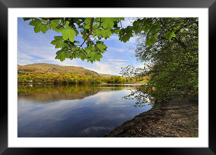 Glorious Grasmere Framed Mounted Print by Jason Connolly