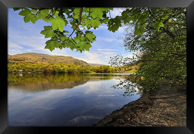 Glorious Grasmere Framed Print by Jason Connolly