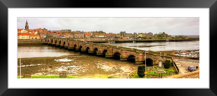Berwick Bridge Framed Mounted Print by Tom Gomez