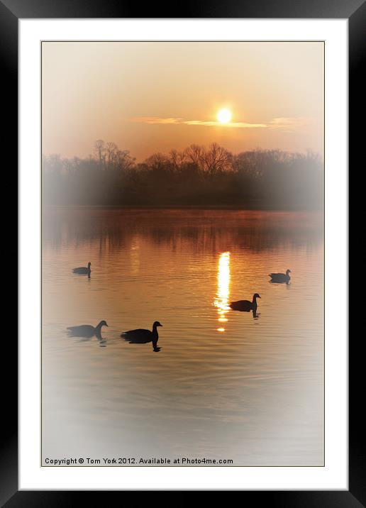 AND THE SUN WILL SHINE Framed Mounted Print by Tom York