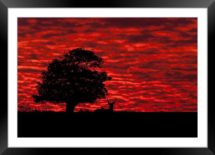 Shepherds' Warning Framed Mounted Print by Natures' Canvas: Wall Art  & Prints by Andy Astbury