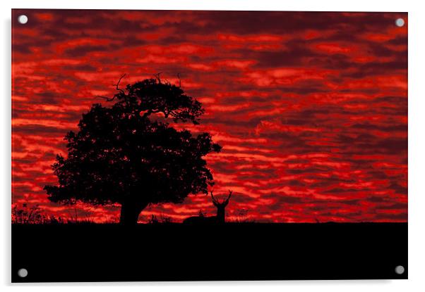 Shepherds' Warning Acrylic by Natures' Canvas: Wall Art  & Prints by Andy Astbury