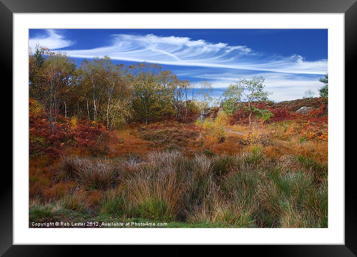Rich Autumn Framed Mounted Print by Rob Lester