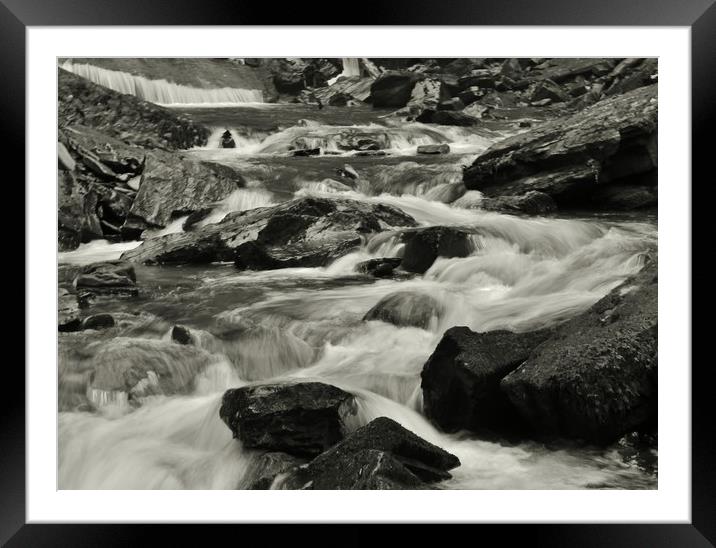 Into the River. Framed Mounted Print by Becky Dix