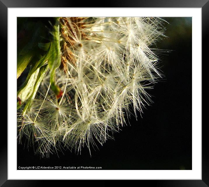 Time for Bed Framed Mounted Print by LIZ Alderdice